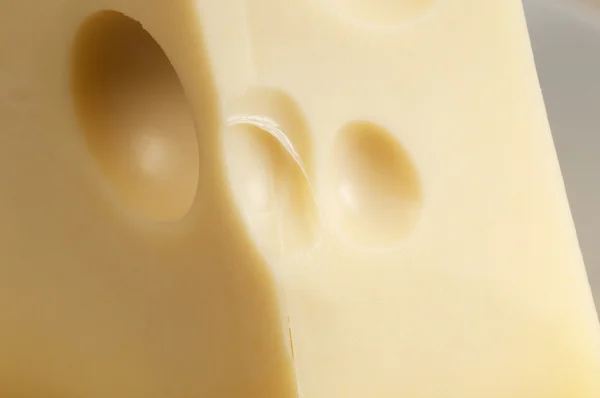 Closeup de queijo — Fotografia de Stock