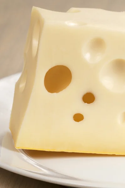 Sýr closeup — Stock fotografie