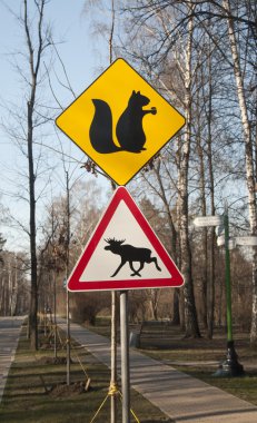 yol işaretleri bir parkta
