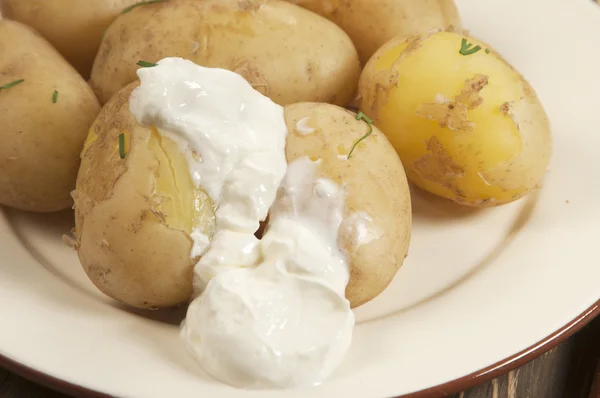 Jonge gekookte aardappelen — Stockfoto