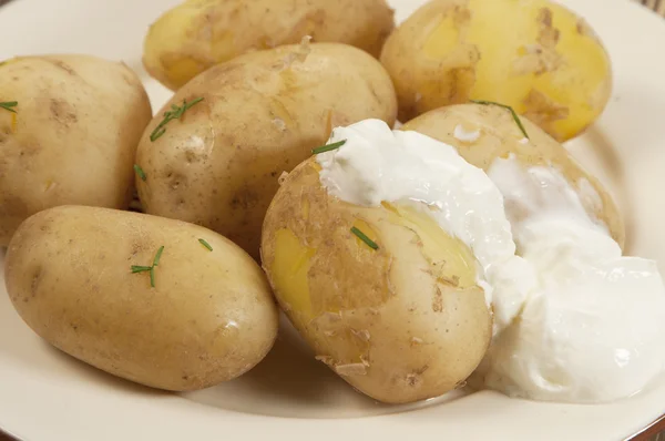 Pommes de terre jeunes bouillies — Photo