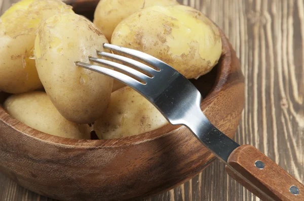 Jonge gekookte aardappelen — Stockfoto