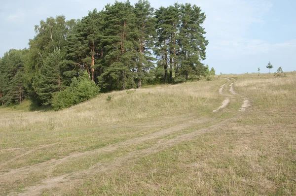 Krajina s prašnou cestou — Stock fotografie