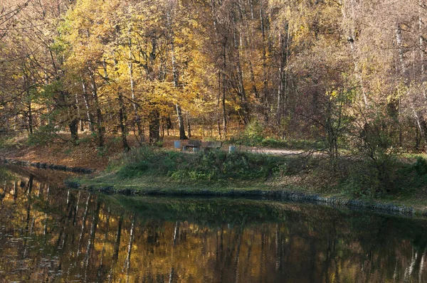 Moskova Rusya Daki Sokolniki Parkında Sonbahar Manzarası — Stok fotoğraf