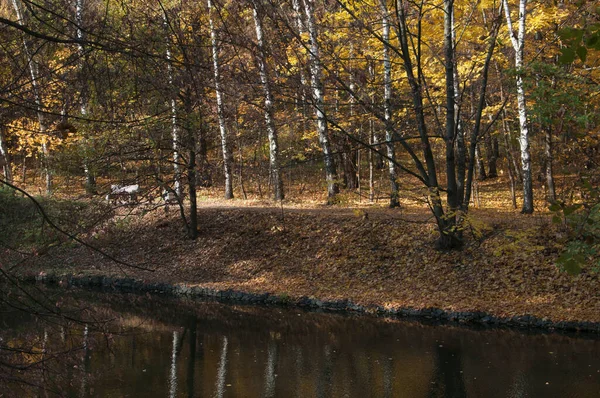 俄罗斯莫斯科Sokolniki公园的秋季风景 — 图库照片