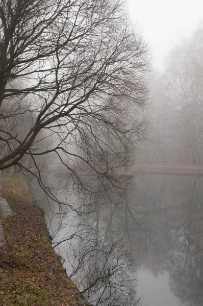 Autumn Landscape Fog Sokolniki Park Moscow Russia — Stock Photo, Image