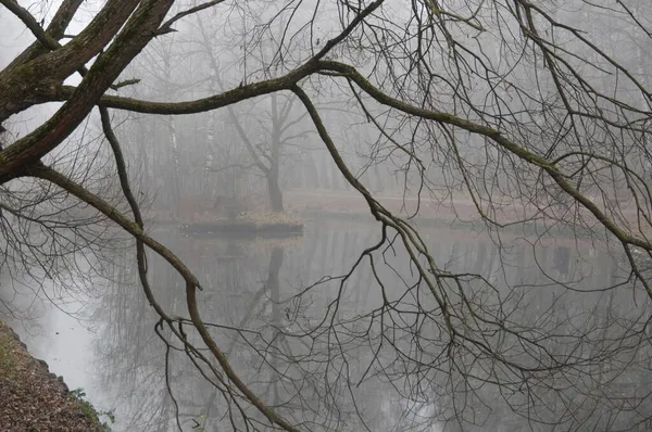 Autumn Landscape Fog Sokolniki Park Moscow Russia — Stock Photo, Image