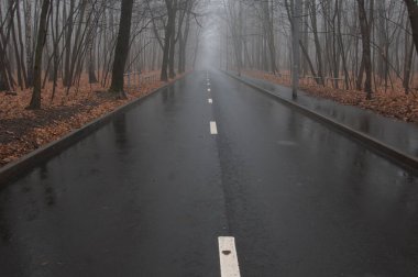 Moskova, Rusya 'daki Sokolniki parkında sonbahar manzarası sisli