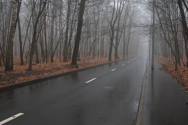 Paisagem Outono Com Nevoeiro Parque Sokolniki Moscou Rússia — Fotografia de Stock