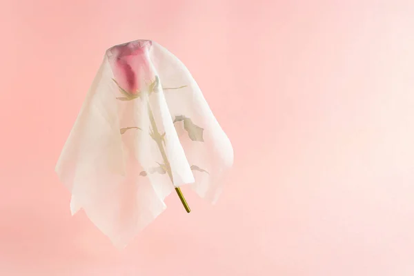 Pastel pembe arka planda beyaz hayalet kostümü. En az Cadılar Bayramı aşkı konsepti.