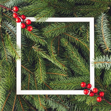 Kırmızı böğürtlen dalları ve beyaz çerçeveli Noel ağacı dallarından oluşan yaratıcı bir düzen. Yeni yıl doğa konsepti. Düz yatıyordu. Boşluğu kopyala.