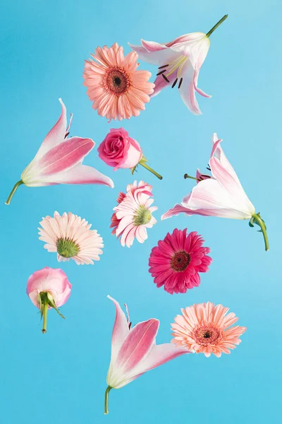 화려하고 꽃들로 창조적 — 스톡 사진