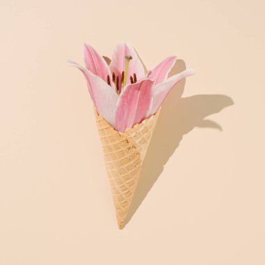 Bej arka planda taze pembe çiçekler ve dondurma külahı. En az Sevgililer Günü ya da Kadın Günü planı. Yaratıcı gıda ya da doğa konsepti