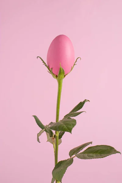 Huevo Pascua Creativo Como Una Flor Fresca Rosada Mínimo Concepto — Foto de Stock