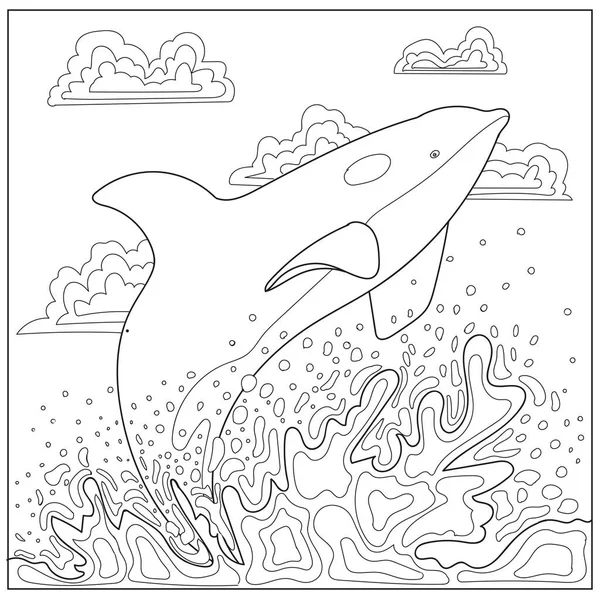 Balina, katil balina boyama sayfası