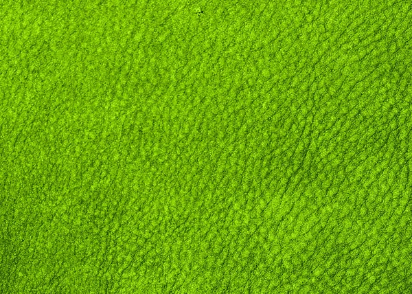 Fundo Verde Com Textura Couro — Fotografia de Stock