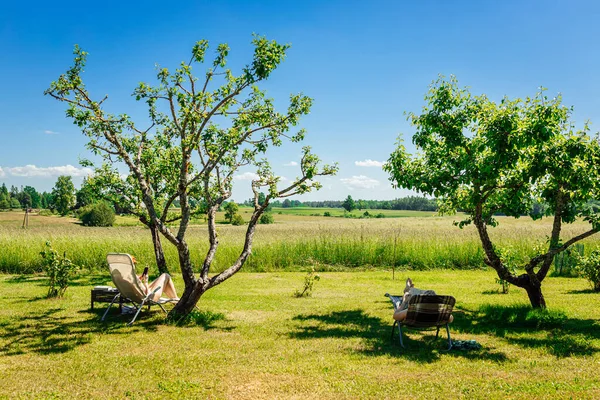 Dwie Osoby Relaksujące Się Leżakach Uder Drzew Cieniu Gorący Letni — Zdjęcie stockowe