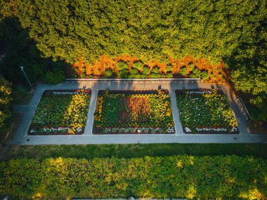 City park from above, summer evening at city park, Pedestrian paths and crosswalks in city park. Green area in the city