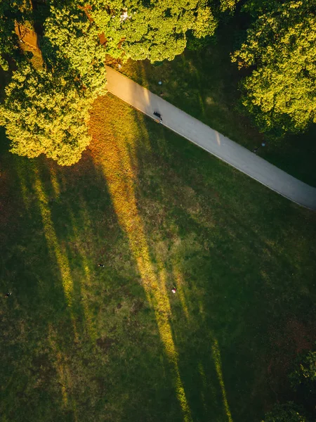 City Park Summer Evening City Park Pedestrian Paths Crosswalks City — Fotografia de Stock