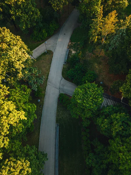 City Park Summer Evening City Park Pedestrian Paths Crosswalks City — Fotografia de Stock