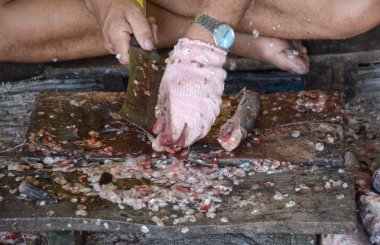 Taze Gölü balık kesme eller