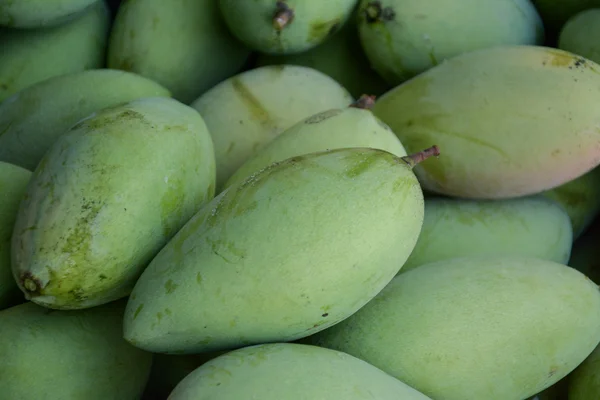 Green mangoes — Stock Photo, Image