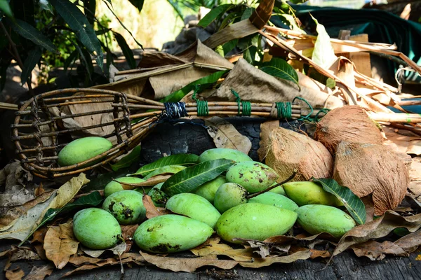 Green mangoes with coconuts on dry leafs — Stock Photo, Image