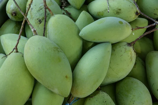 Green mangoes — Stock Photo, Image