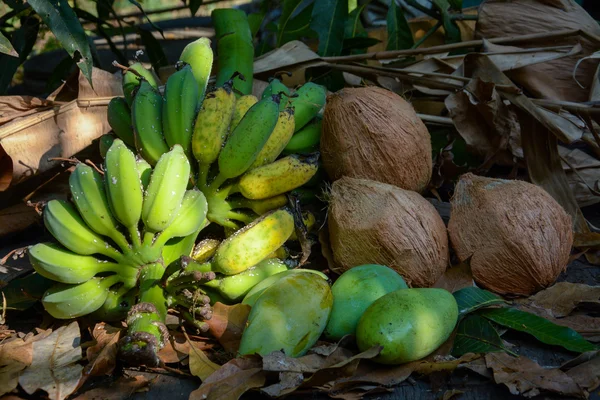Grüne Mangos mit Bananen und Kokosnüssen trockene Blätter — Stockfoto