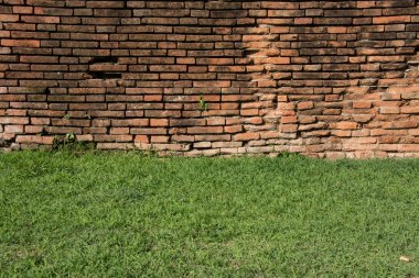Yeşil çimenli tuğla duvar