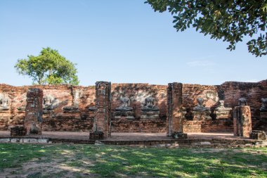 satır berbat Buda heykeli wat chai wattanaram, ayutthaya, Tayland