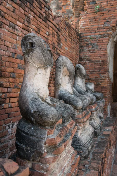 satır berbat Buda heykeli wat chai wattanaram, ayutthaya, Tayland