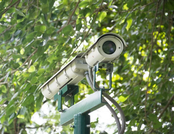 Säkerhet kameran i trädgård, cctv kameran — Stockfoto