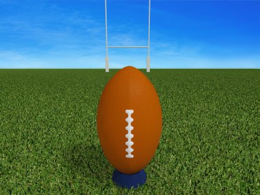 rugby topu mavi gökyüzü ile çimenlerin üzerinde