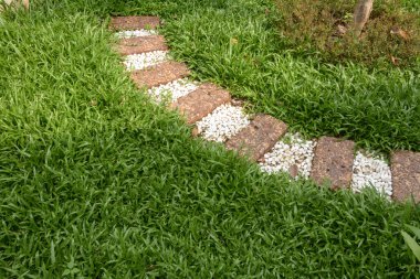 Yolu arka bahçesinde bahçede yürümek