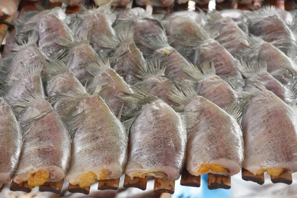 Peixes de gourami de pele de cobra em cesta de debulha secando peixes de gourami de pele de cobra em cesta de debulha — Fotografia de Stock