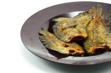 Kızarmış yılan derisi gurami üzerine beyaz izole