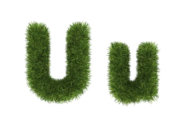 Травяные буквы, верхний и нижний регистр — стоковое фото