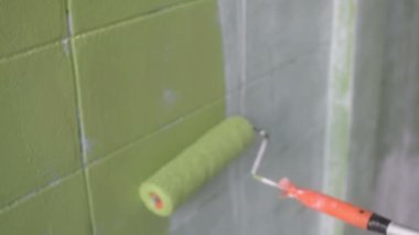 yeşil renk boya duvar rulo