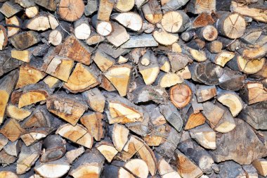 örümcek ağları ile eski ve pis ahşap