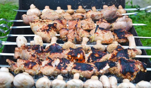 Shish kebab brochettes roosteren — Stockfoto