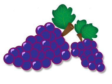 üzüm demet vektör