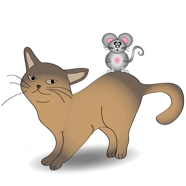 bir fare ile bir kedi