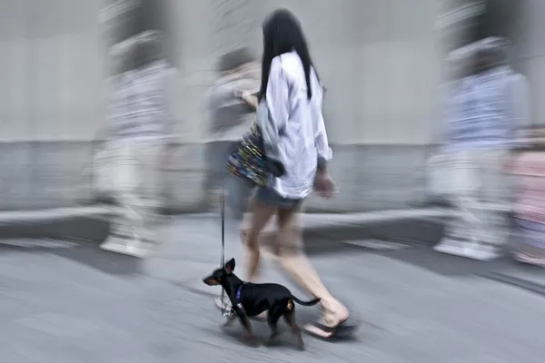 Caminhando o cão na rua — Fotografia de Stock