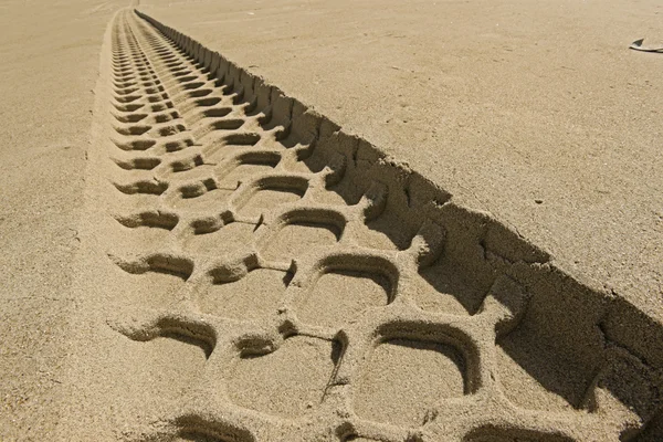 Huellas de neumáticos en una playa — Foto de Stock