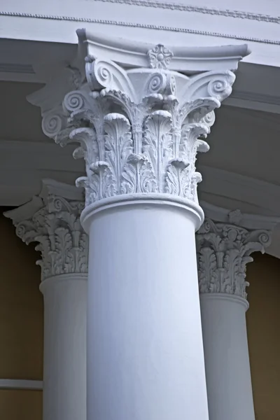 Detalhe arquitetônico coluna e simbolismo — Fotografia de Stock