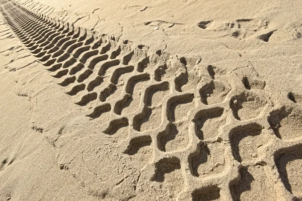 Huellas de neumáticos en una playa — Foto de Stock