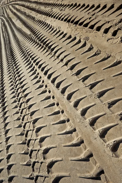 Faixas de pneus em uma praia — Fotografia de Stock
