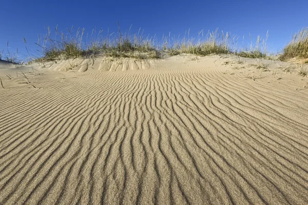Sand with grass and sky — Stock Photo, Image