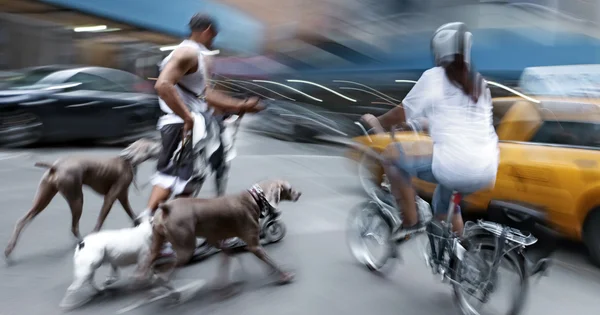 Alternative ökologisch saubere Verkehrsmittel — Stockfoto